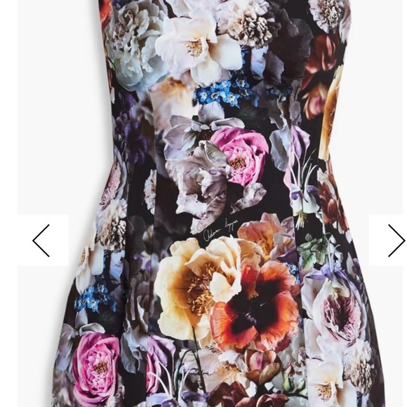 One of a kind Adam Lippes floral dress size 2 - Picture 1 of 10